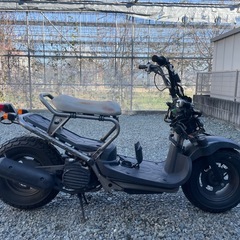 不動車　ホンダ　ズーマー　スペシャルエディション　　部品取り　　　の画像