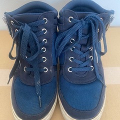 紺色の靴の画像