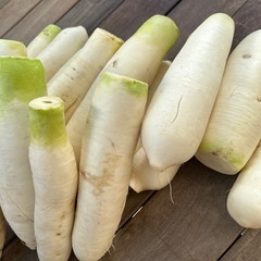かた大根　1本50円からの画像