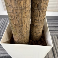 フェイクグリーン　観葉植物の画像