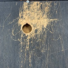 美原店　レトロ　大型　幅48cm maruman 掛け時計　壁掛け　動作品の画像