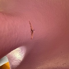 【21日まで】バンボ（テーブル付）の画像