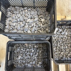 無料でお譲りします！！の画像