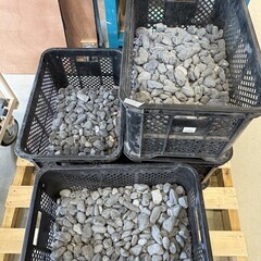 無料でお譲りします！！の画像