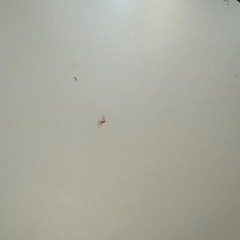 ダイニングテーブル・チェアの画像