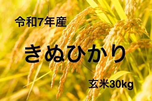 令和７年産　新米　きぬひかり　玄米1袋（30kg）【残り3袋】