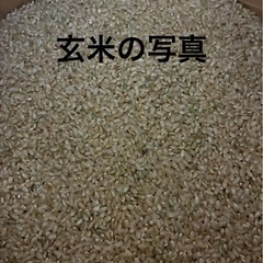 令和７年産　新米　きぬひかり　玄米1袋（30kg）【残り3袋】の画像