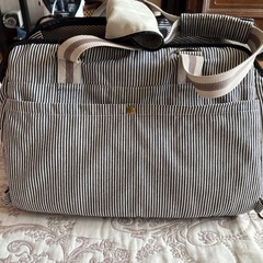 ペットキャリーバッグ・ラディカの画像