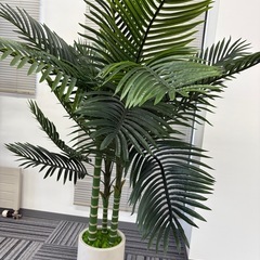 フェイクグリーン　観葉植物の画像