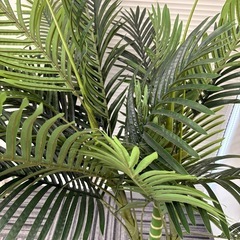 フェイクグリーン　観葉植物の画像