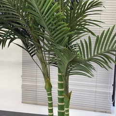 フェイクグリーン　観葉植物の画像