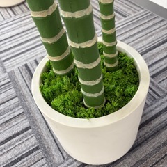 フェイクグリーン　観葉植物の画像