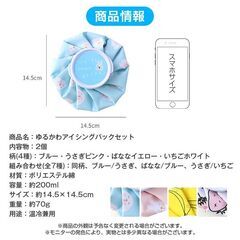 氷のう 2個 氷嚢 アイスパック 熱中症対策 子供 ミニ 軽量 温冷兼用 かわいい おしゃれ 野球 ゴルフ サッカー 発熱 怪我 応急 アイシング 暑さ対策 冷却グッズの画像