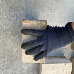 ピンコロ6個の画像