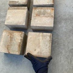 ピンコロ6個の画像