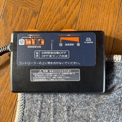 ホットカーペットの画像