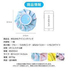 氷のう 1個 氷嚢 アイスパック 熱中症対策 子供 ミニ 軽量 温冷兼用 かわいい おしゃれ 野球 ゴルフ サッカー 発熱 怪我 応急 アイシング 暑さ対策 冷却グッズの画像