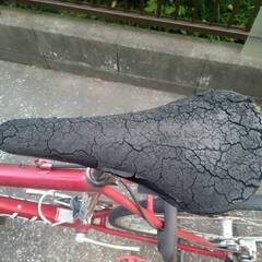 Canondale　4XR150/REDの画像