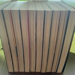 チャンピオン・コミックス WORST1巻～29巻＋外伝の画像