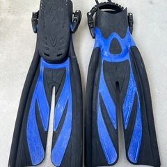 中古フィンの画像