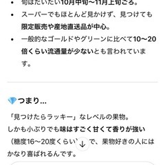 11月20日限定セール🐣レインボーレッドキウイ🌈の画像