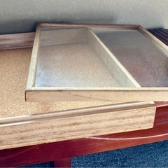 アクセサリーケース　標本ケース　小物ケースの画像