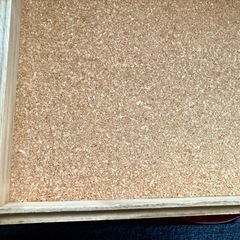 アクセサリーケース　標本ケース　小物ケースの画像