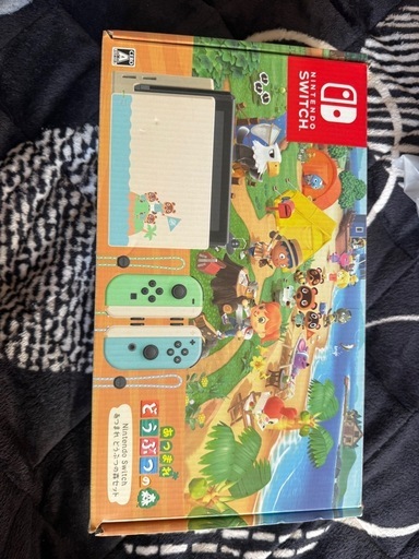 Switch(あつまれどうぶつの森)