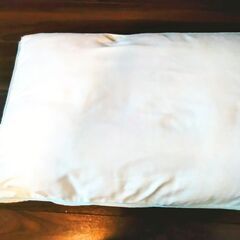 ドーナツクッション＋枕（ニトリ）の画像