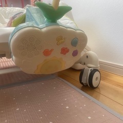 プーメリー　メリーの画像