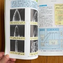 鍼灸治療における感染防止の指針の画像