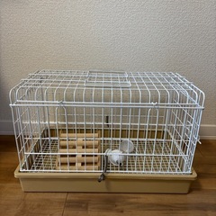 チンチラ飼育セットの画像