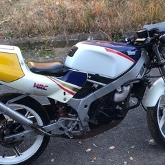 NS-1  50 実動の画像