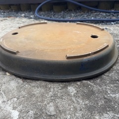 盆栽　皿　庭　の画像