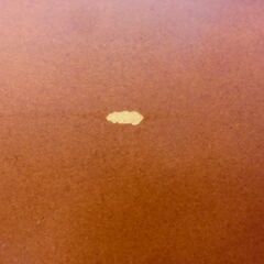 カルトーネ 木製 コレクションケース 45×29×150cm 塩川光明堂 飾り棚 フィギュア ミニカー 食器 小物 札幌 西区 西野店の画像