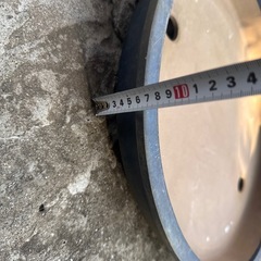 盆栽　皿　庭　の画像