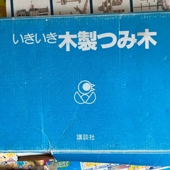 カプラ100ピースと積み木セットの画像