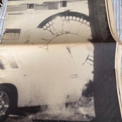 映画「CELEBLITY 」パンフレットの画像