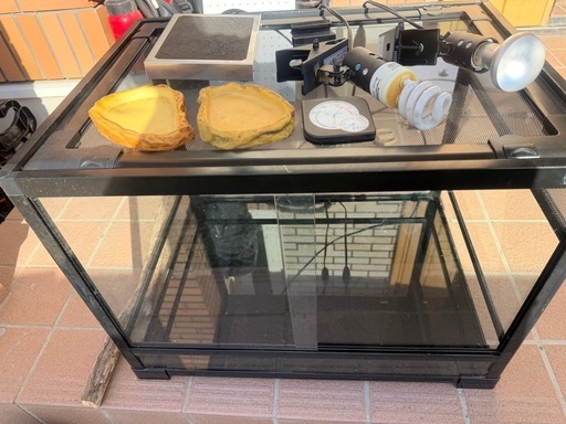 パンテオン　
爬虫類 ゲージセット