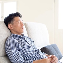 【定価36万3000円】ほぼ未使用 日本製　最高級ソファNOYES 3人掛け ハイバック お昼寝にもの画像