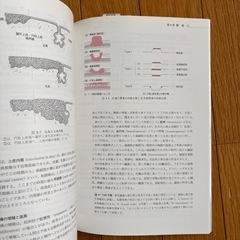病理学概論の画像