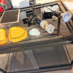 爬虫類ゲージセット　6045 
パンテオン　の画像