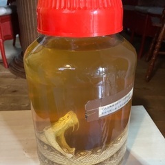 ハブ酒　10万→8万円の画像