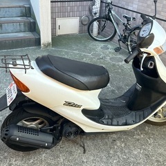 ライブーデイオの画像