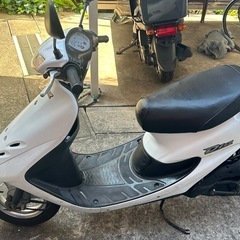 ライブーデイオの画像