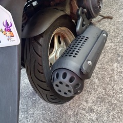 ライブーデイオの画像