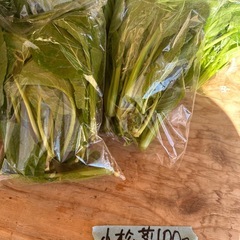 自家栽培野菜の画像