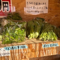 自家栽培野菜の画像