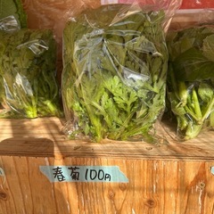 自家栽培野菜の画像