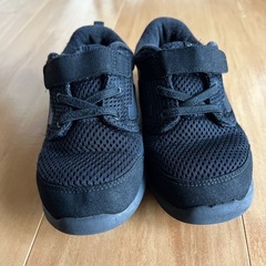 ◼︎ VANS スニーカーの画像